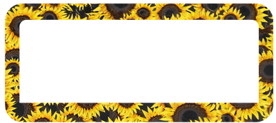 Sun-flower - WA MC
