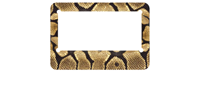 Snakeskin - MC