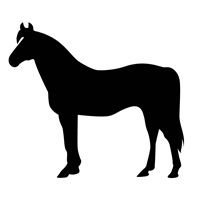 Horse 2 Decal